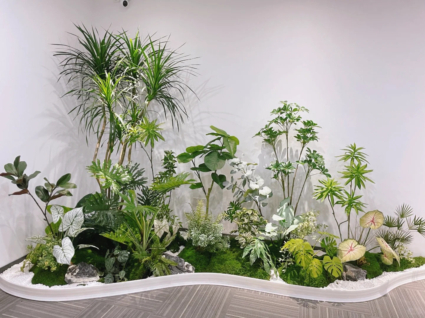 为何都选北仑绿植出租公司？原因在这里